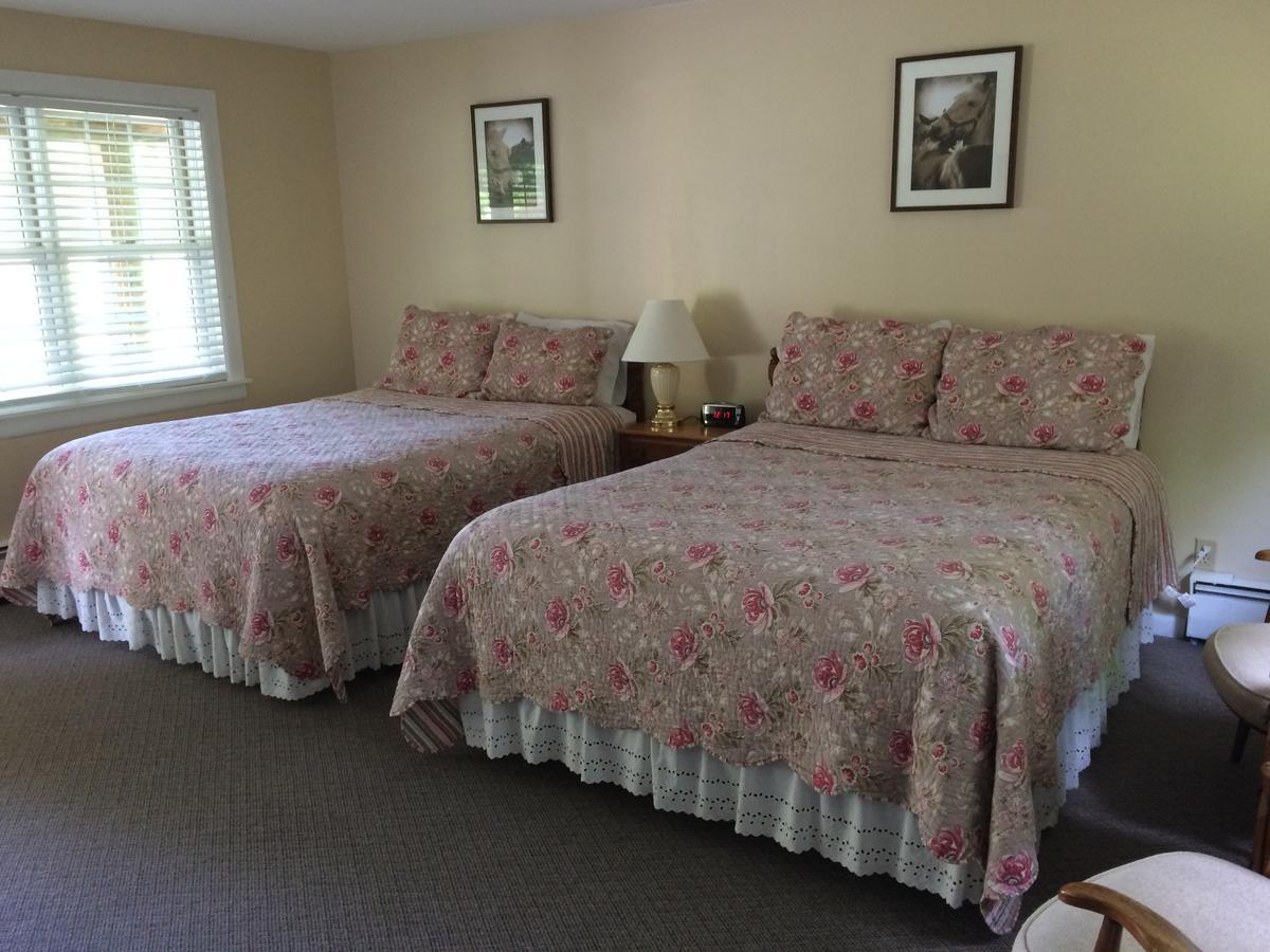 Aerie Inn Of Vermont East Dorset Екстериор снимка